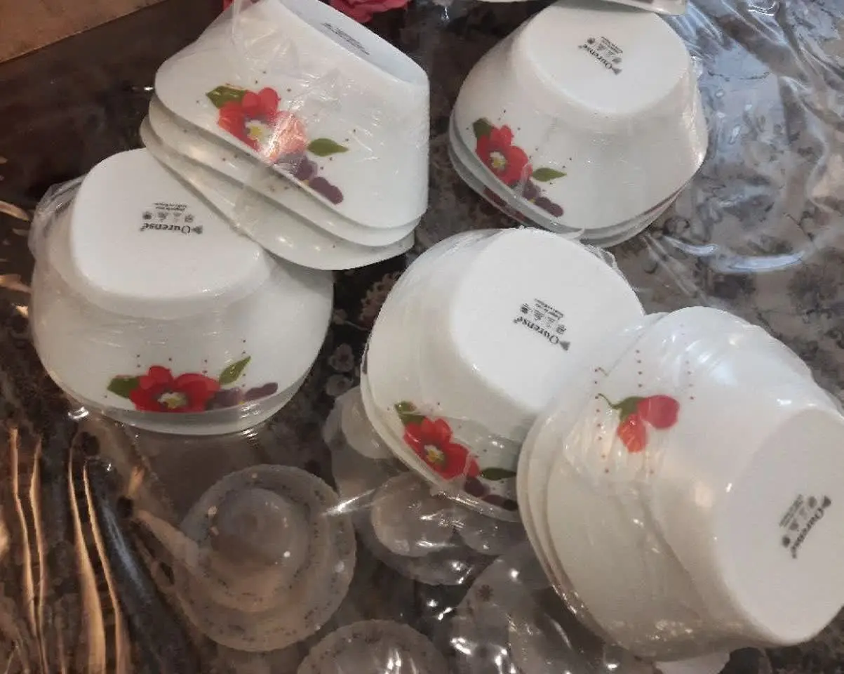 ۴ دست بگوشت خوری آرکوپال 
