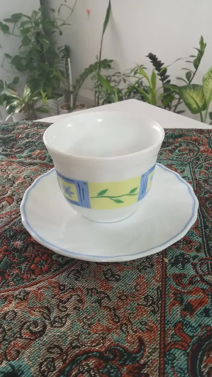 تعداد ۱۱عدد فنجان و نعلبکی آرکوپال فرانسه 

