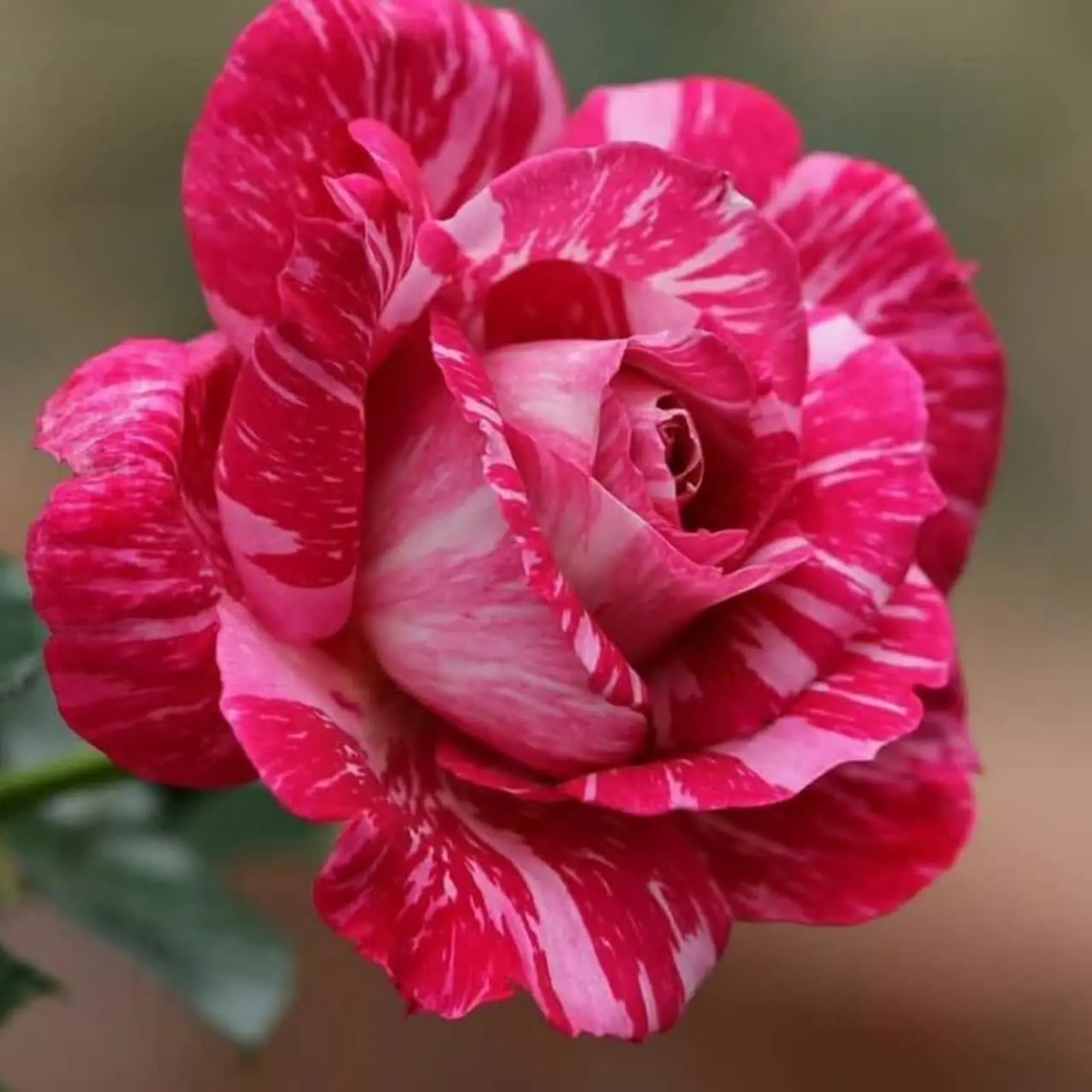 💞🥰همه چیز ارزان💞🥰