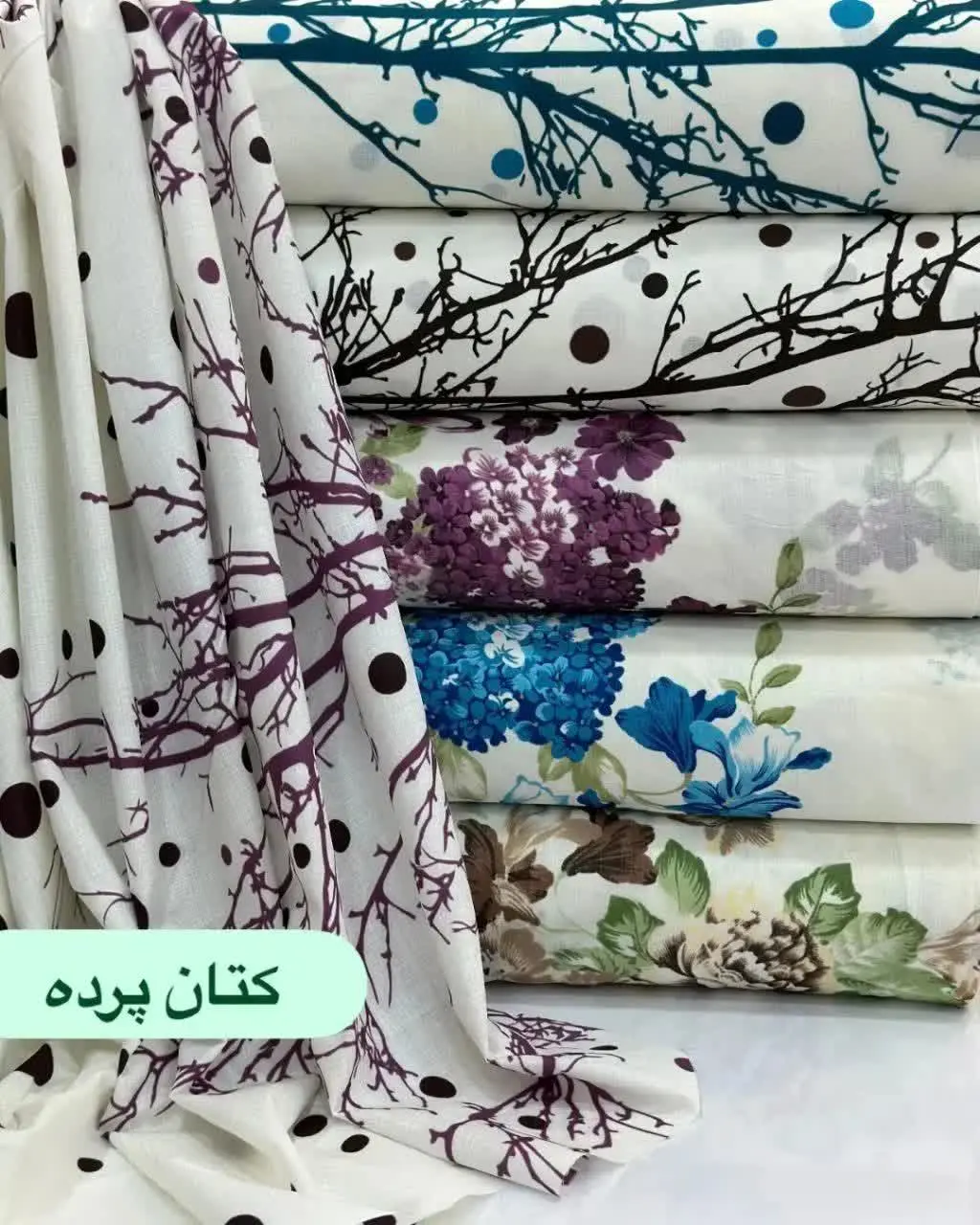 کتان پرده (فلامنت) 
