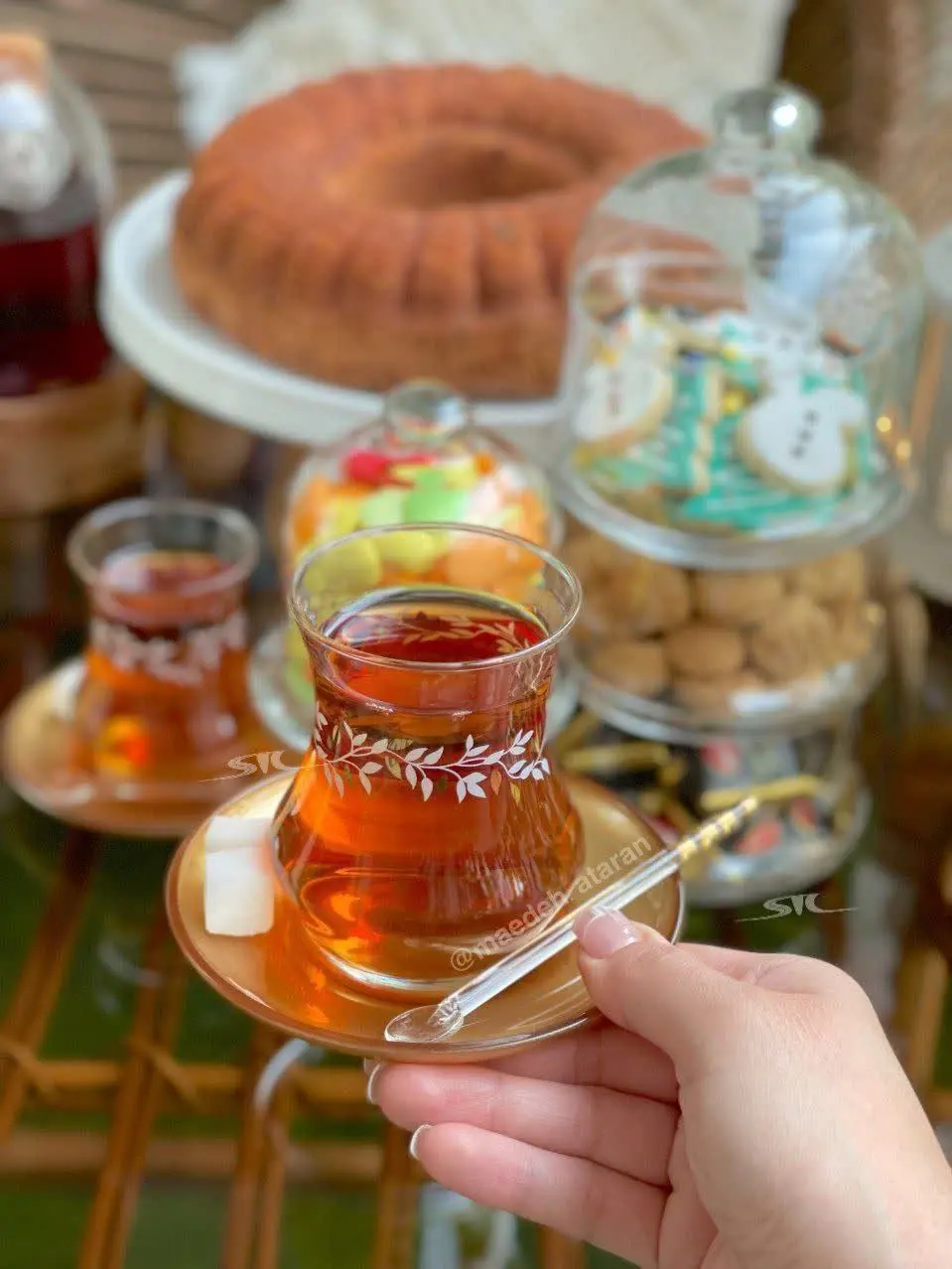 استکان نعلبکی Troya 

