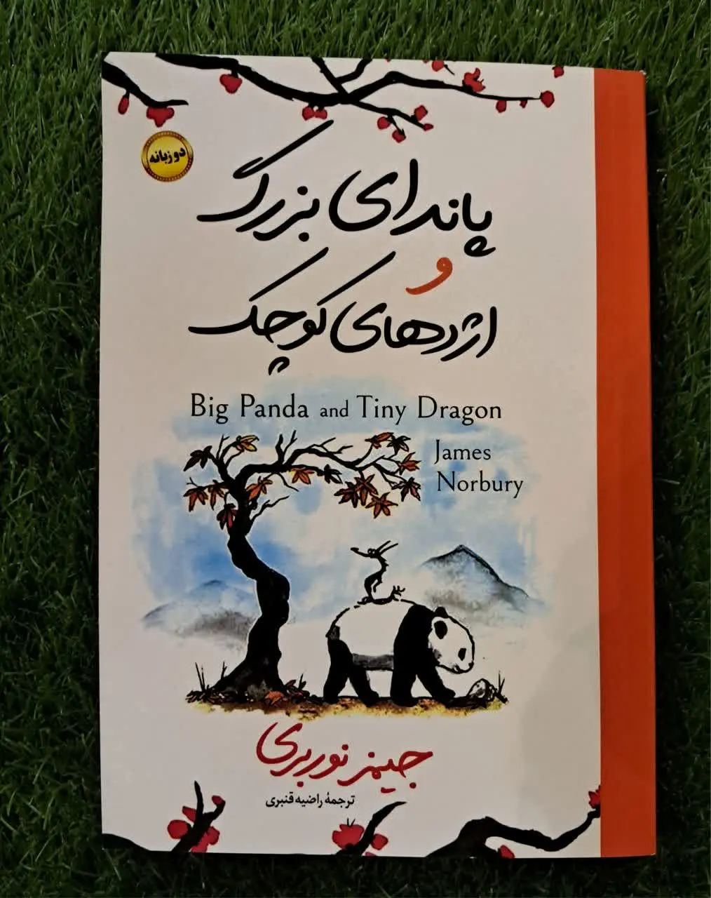 پاندای بزرگ واژدهای کوچک دوزبانه &
