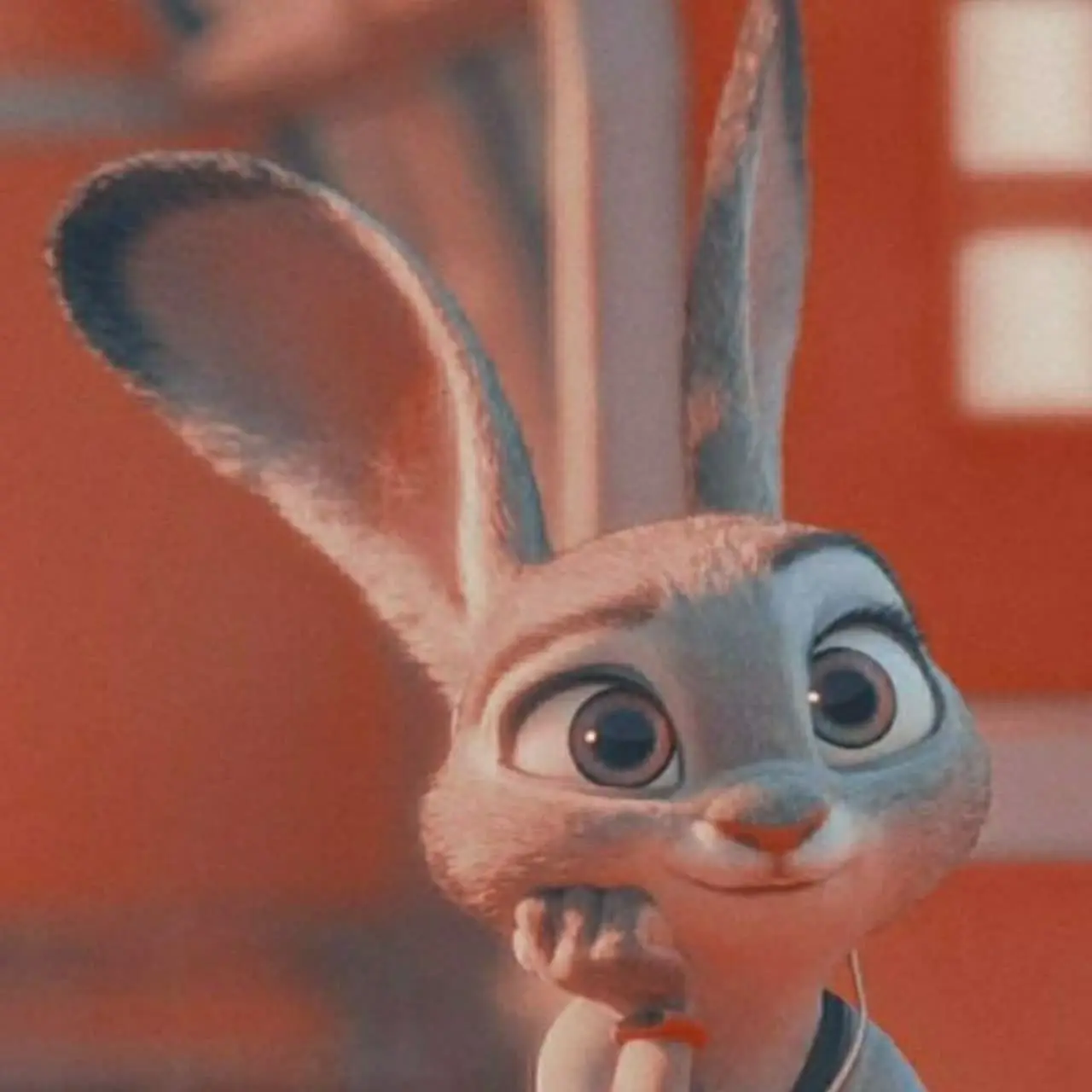 @_rabbit_shop1_