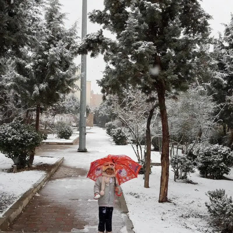 نام شرکت کننده: هانیه یزدانی کلاس دوم دبستان
