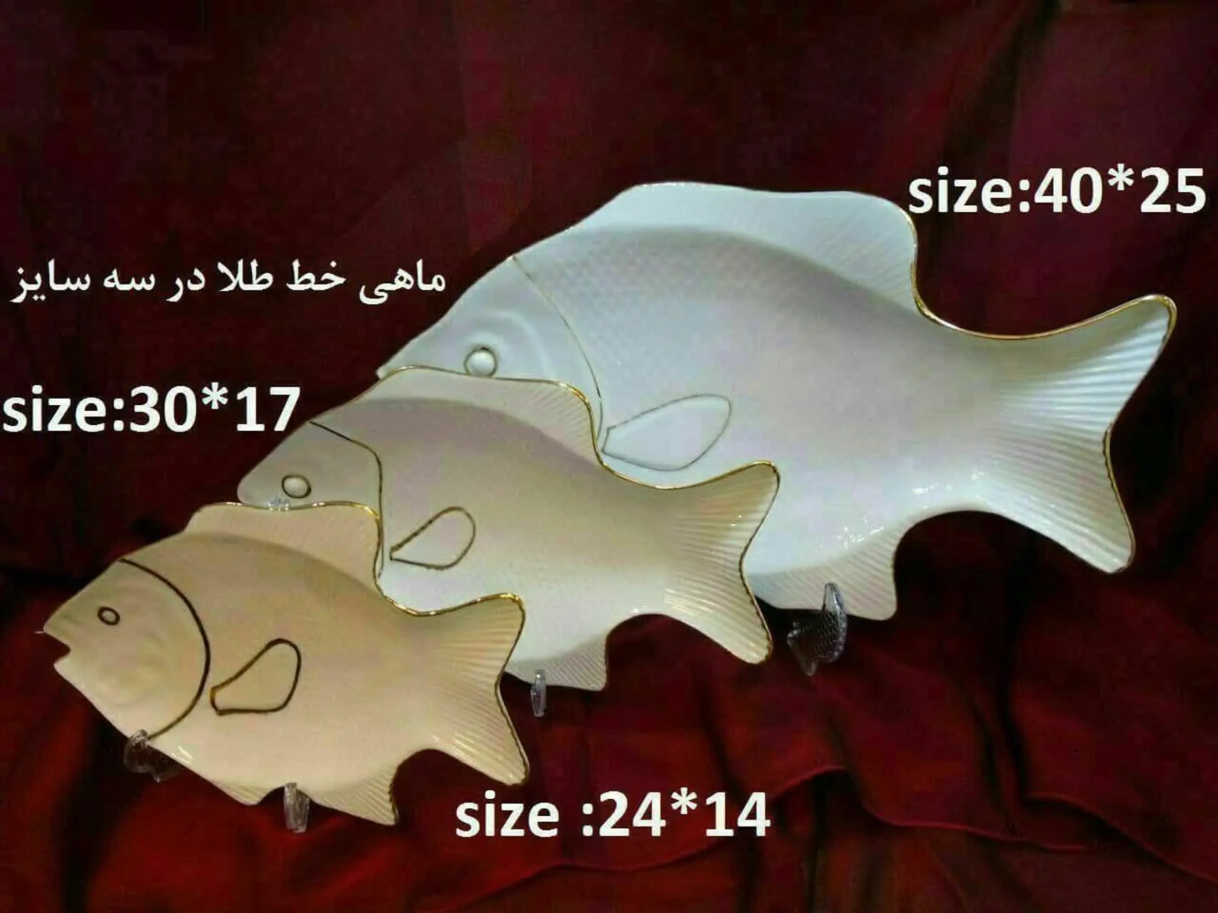 ✅ ماهی بزرگ لب طلا چینی مقصود
