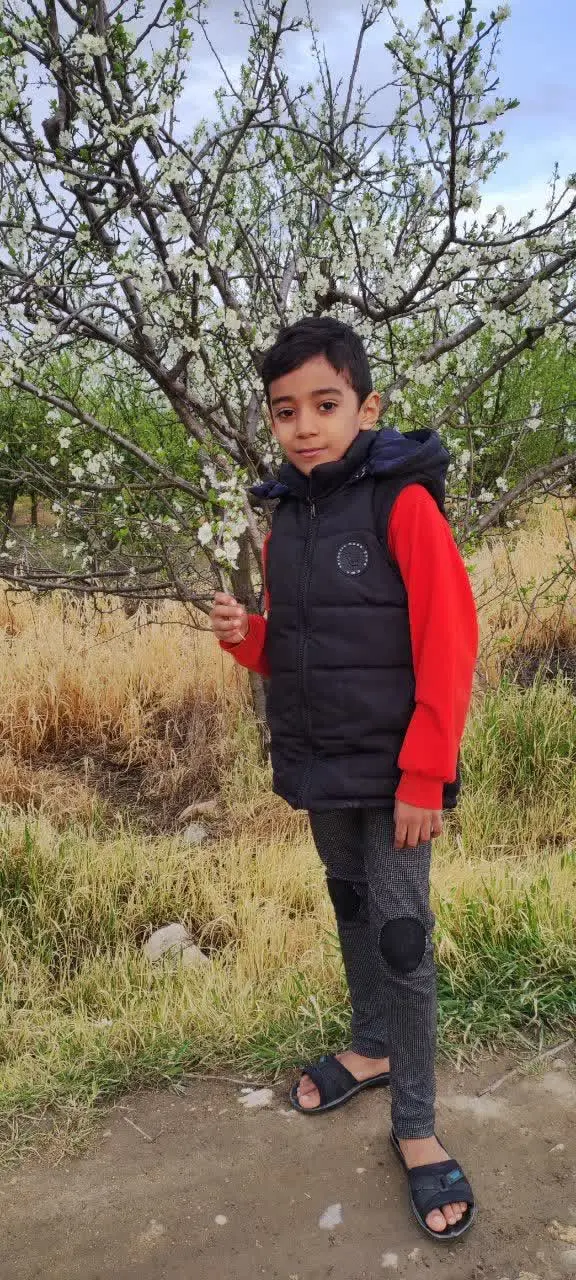 نام شرکت کننده: مبین و محراب داودی
