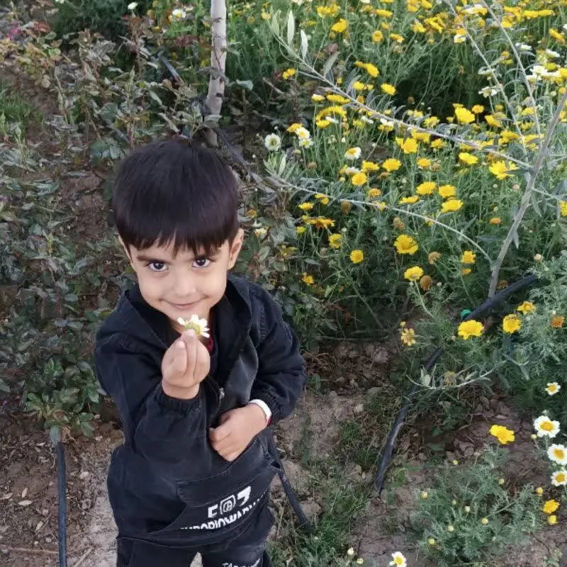نام شرکت کننده: محمد جواد پناهی
