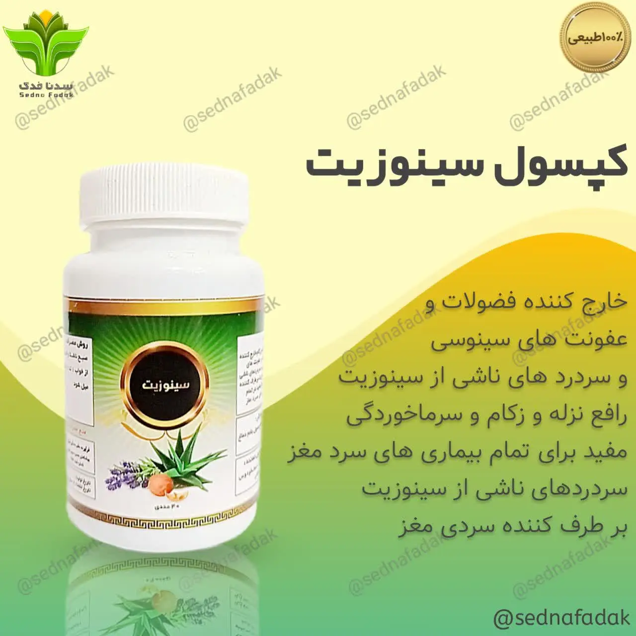 💫🌟کپسول گیاهی سینوزیت
