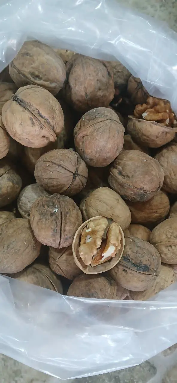 گردو بومی مغز چرب

