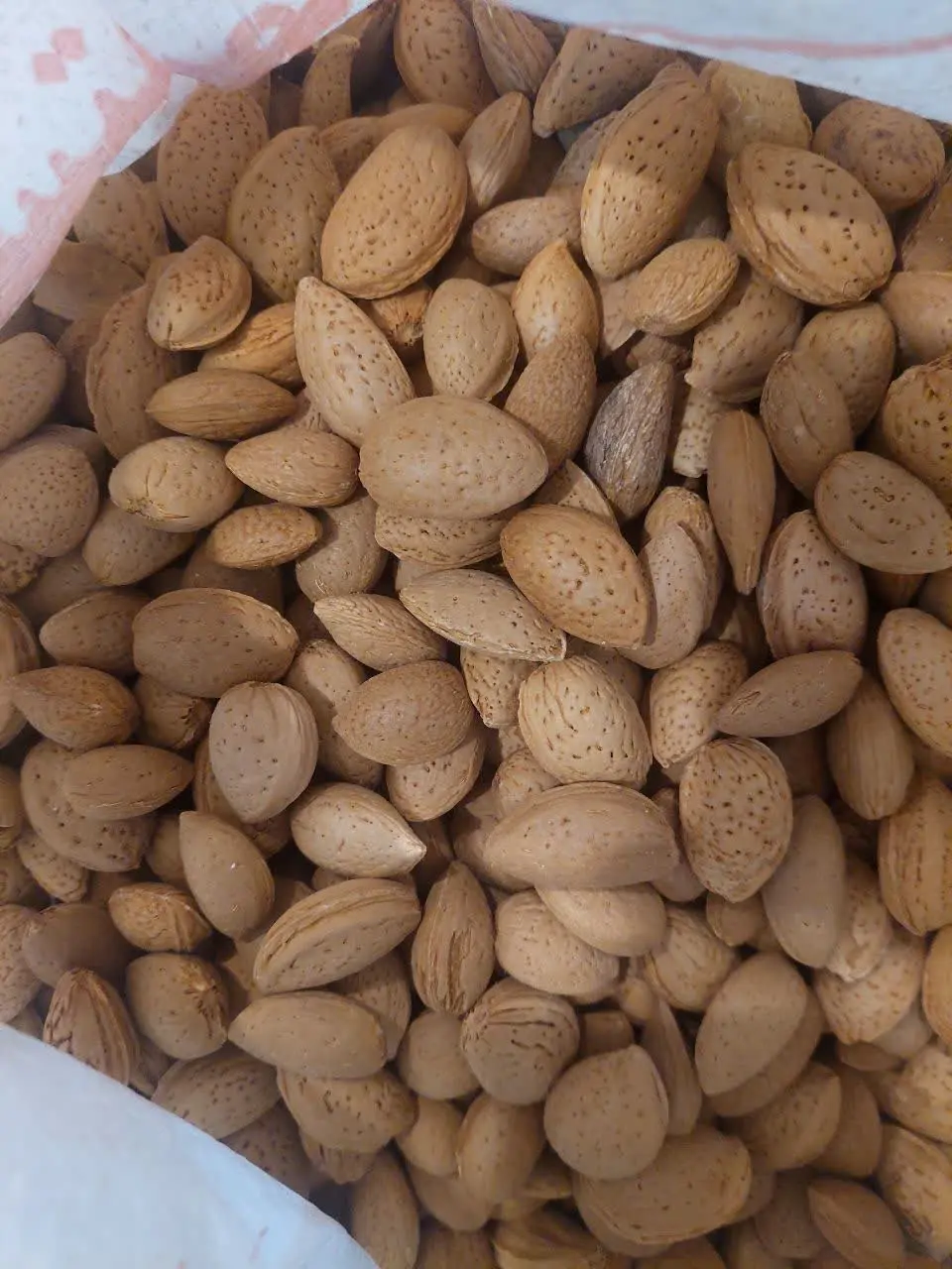 بادام بجاى آسپیرین 
