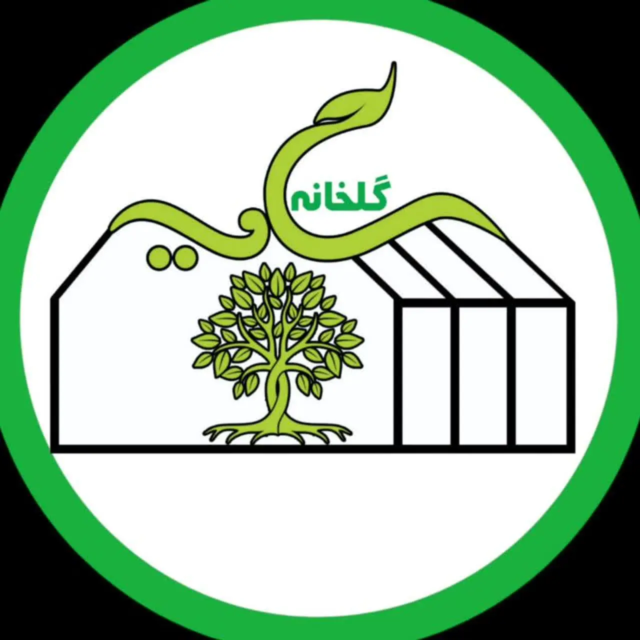 🪴🍃گلخانه سایه🍃🪴