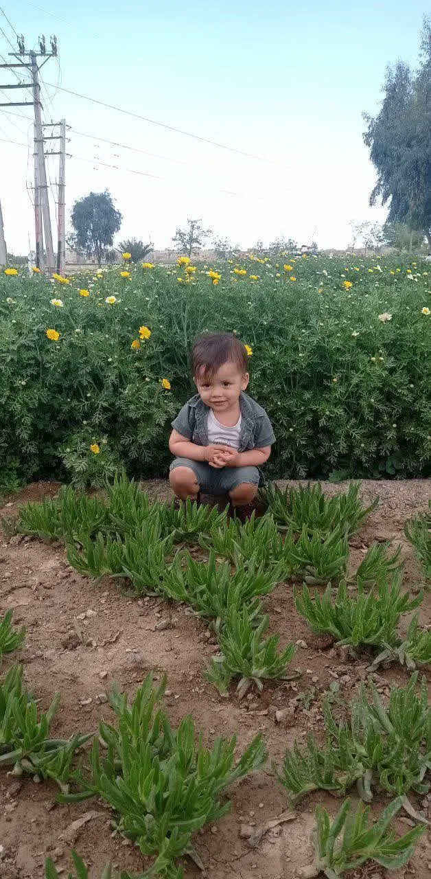😍نام شرکت کننده: کیان اسماعیلی
