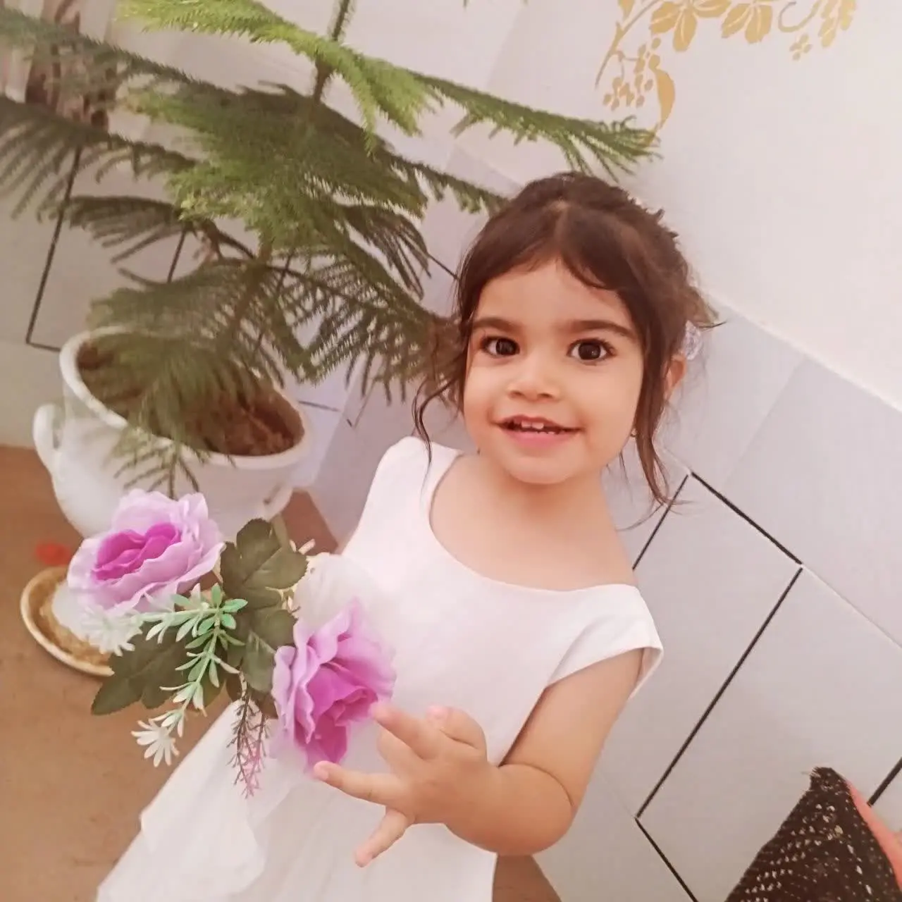 نام شرکت کننده: ساراعالی پور