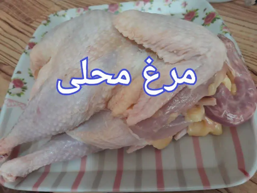 🐔 مرغ محلی (بالغ)