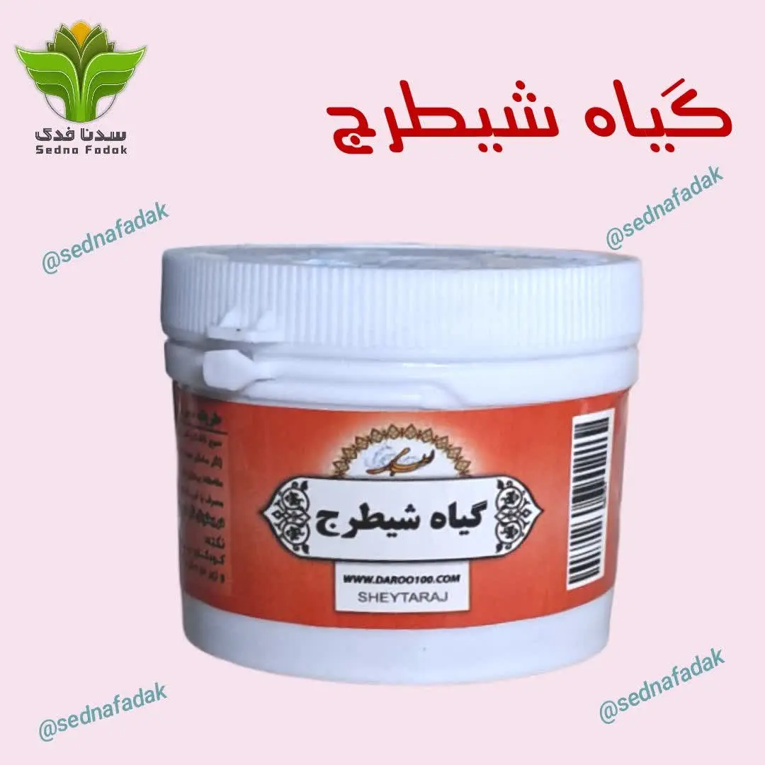 🍀گیاه شیطرج قرصی🍀