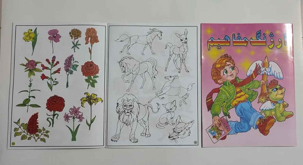 📚 کتاب ارژنگ مفاهیم