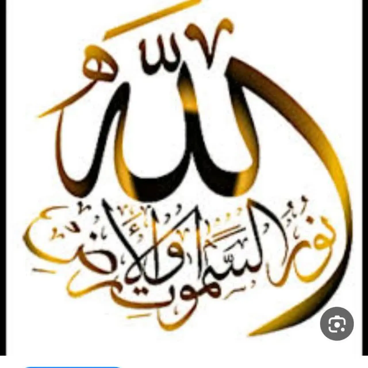 پوشاک مودایول
عمده / خرده
