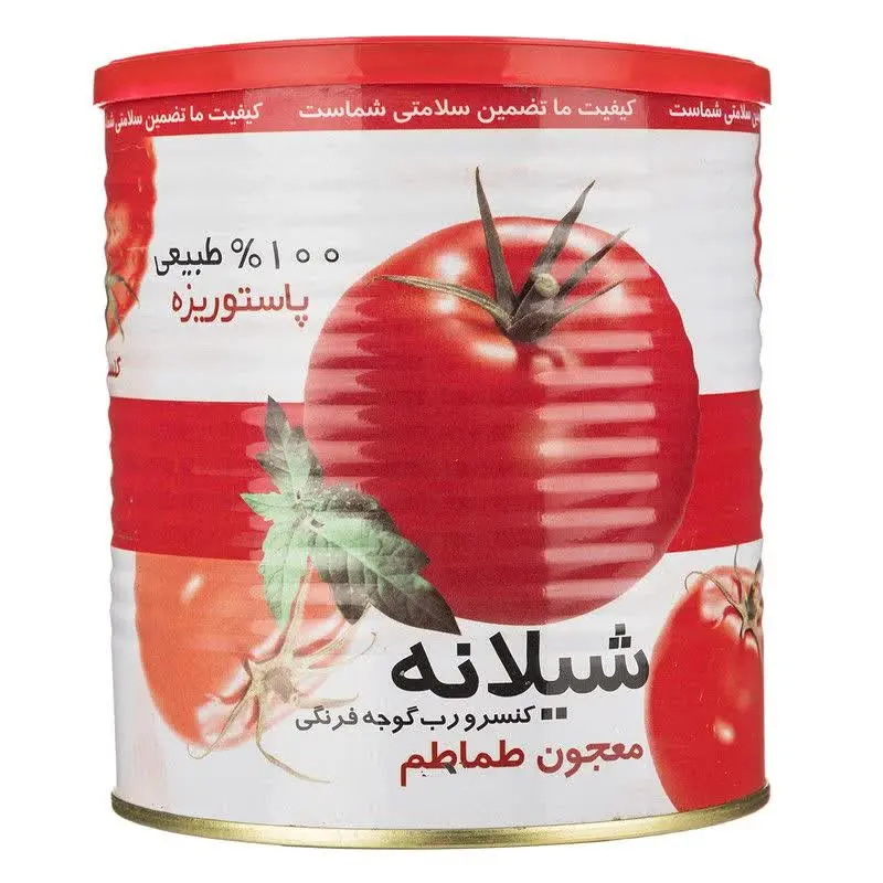 رب گوجه ۸۰۰ گرم شیلانه