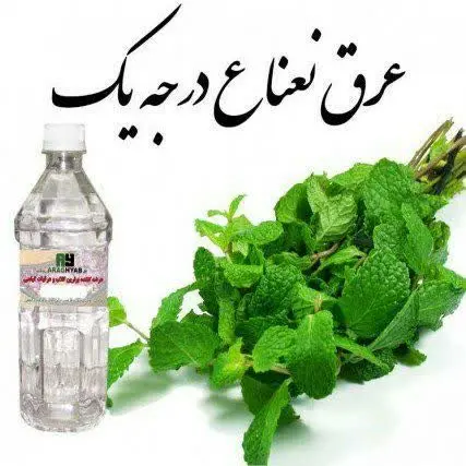 عرق نعناع ممتاز ماهوند