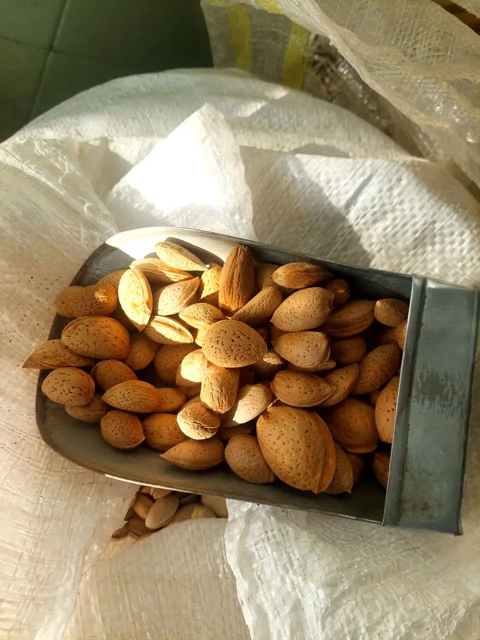 شارژ مجدد بادام سنگی