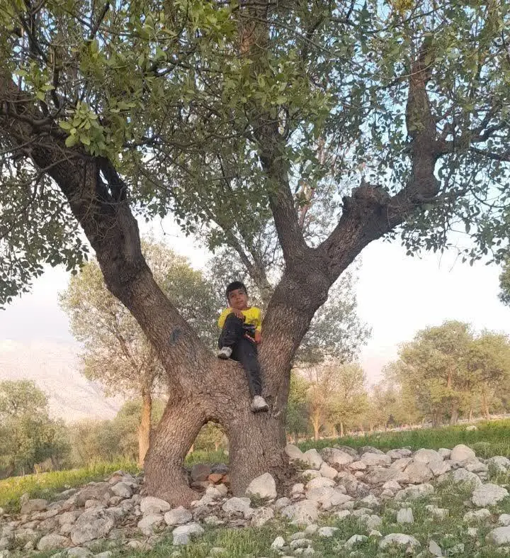 😍نام شرکت کننده آتیلا نادری منش ۷ ساله از شهرستان کازرون