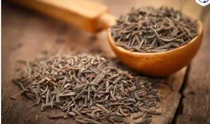گیاه زیره سیاه، بومی اروپا و آسیای غربی است و از زمانهای بسیار قدیم کشت میشد. طعم گرم، کمی تلخ و خاکی زیره سیاه شبیه به شیرین بیان، گشنیز و رازیانه است و هنگام استفادهی دارویی، میتواند ب