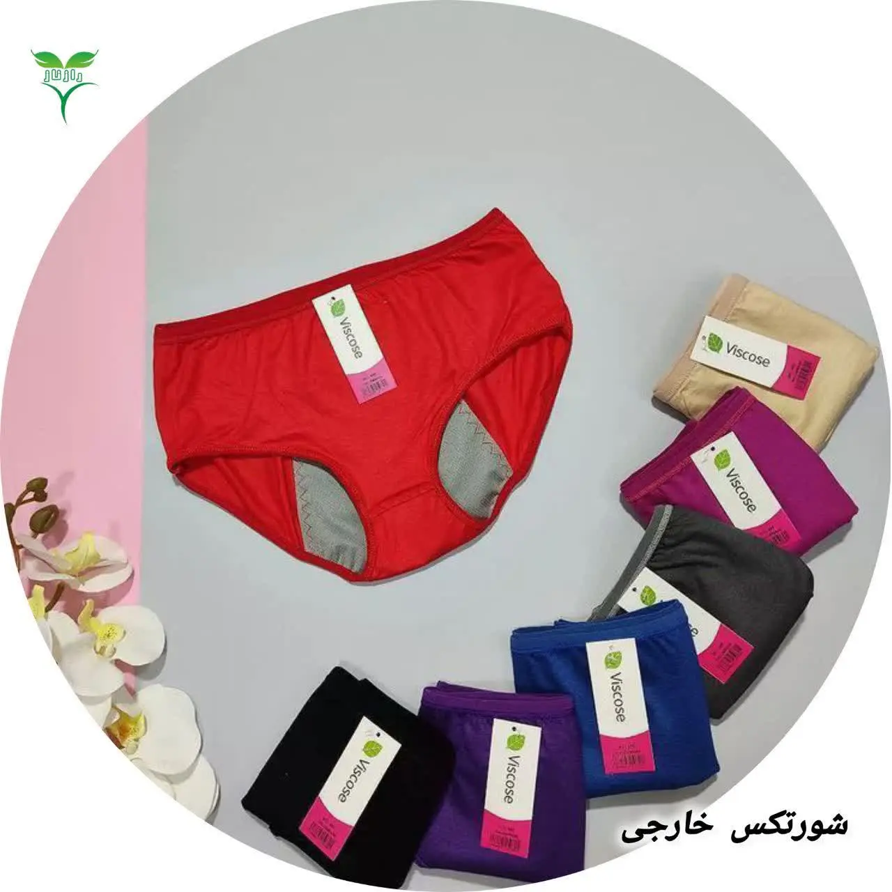 شورتکس در سایزهای محتلف شارژ شد