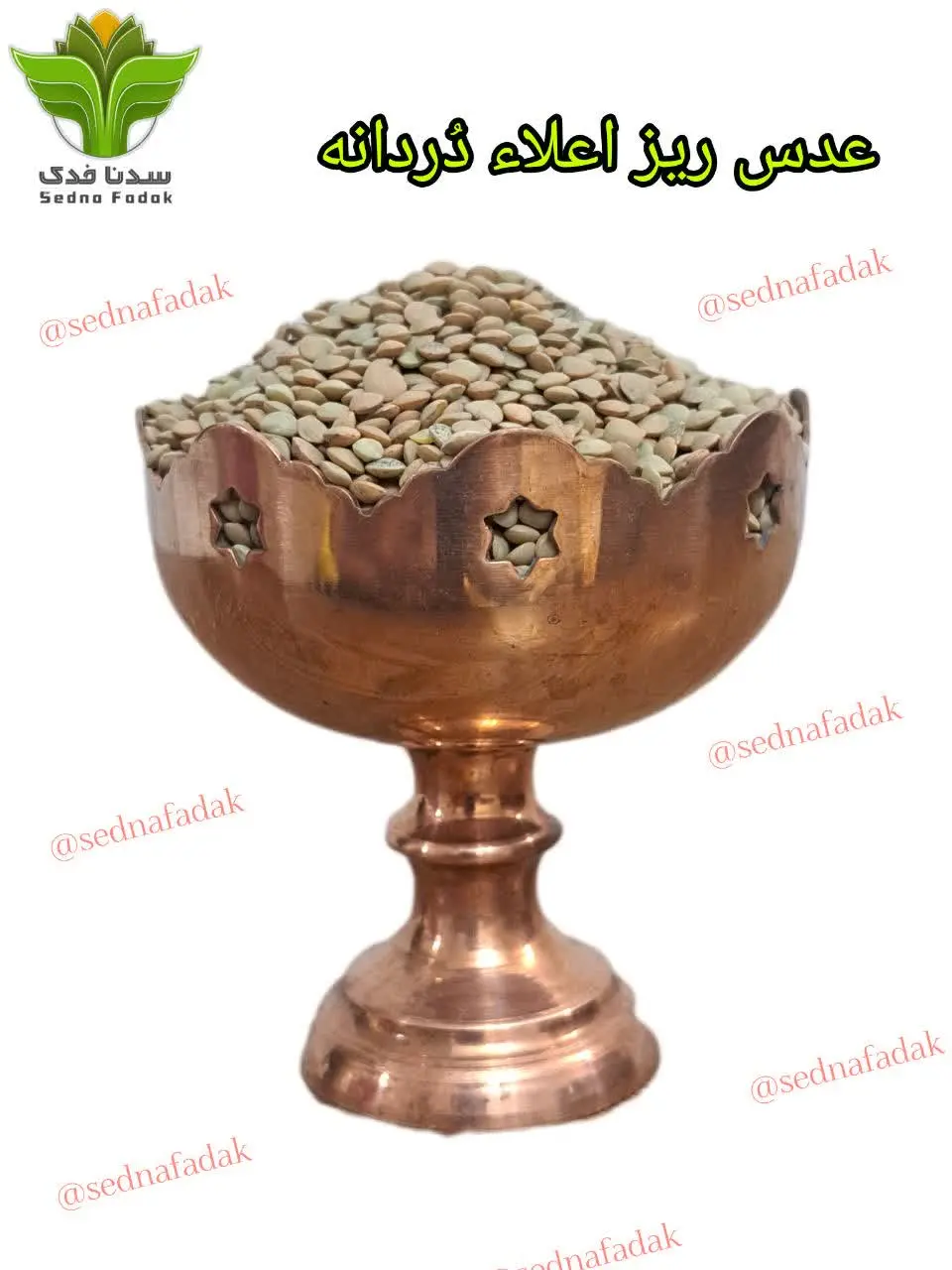 ✳️عدس مانند دیگر اعضای خانواده حبوبات سرشار از فیبر است و فیبرهای محلول در آب موجود در عدس میتواند شمارا از گزند بیماریهای قلبی عروقی در امان نگه دارد چراکه این فیبرها به کنترل میزان کلست
