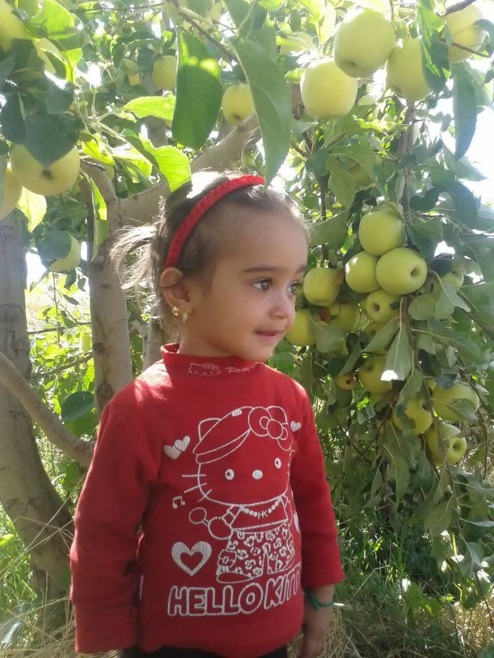 نام شرکت کننده: مهرآسا مهرعلیان