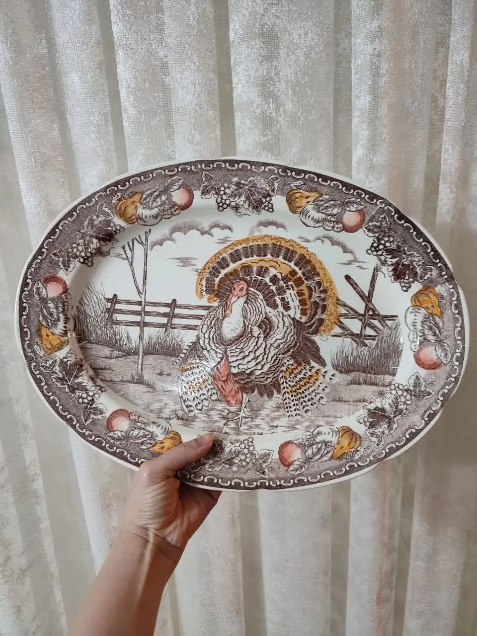 دیس بوقلمون ژاپن