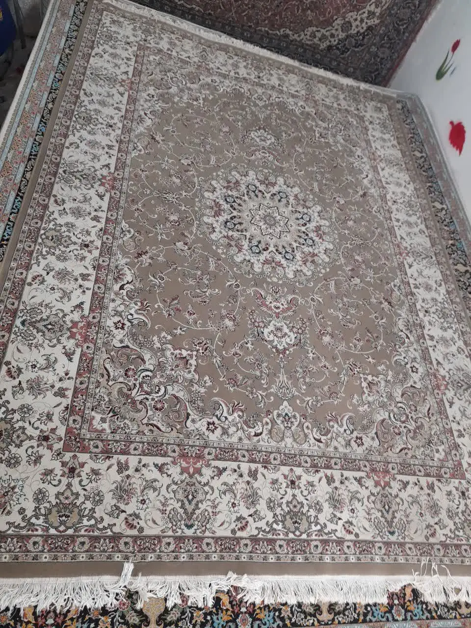جفت ۹ متری ۵۰۰ شانه تراکم ۱۰۰۰ گردویی سالم پرگوشت سنگین وزن تمام نخ اکرولیک فرش اصل مشهد