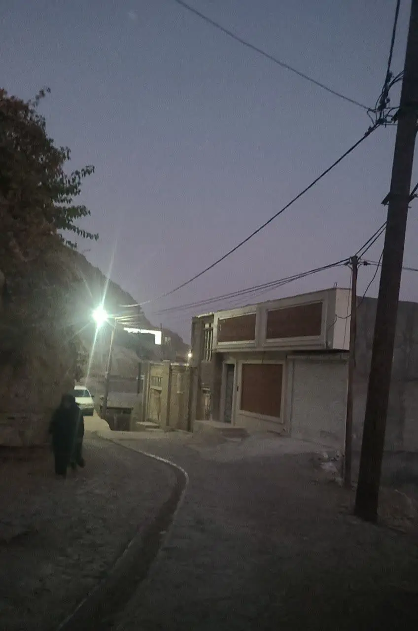 شب شد ولی هنو گردو — تصویر محصول در تاپ هشتگ