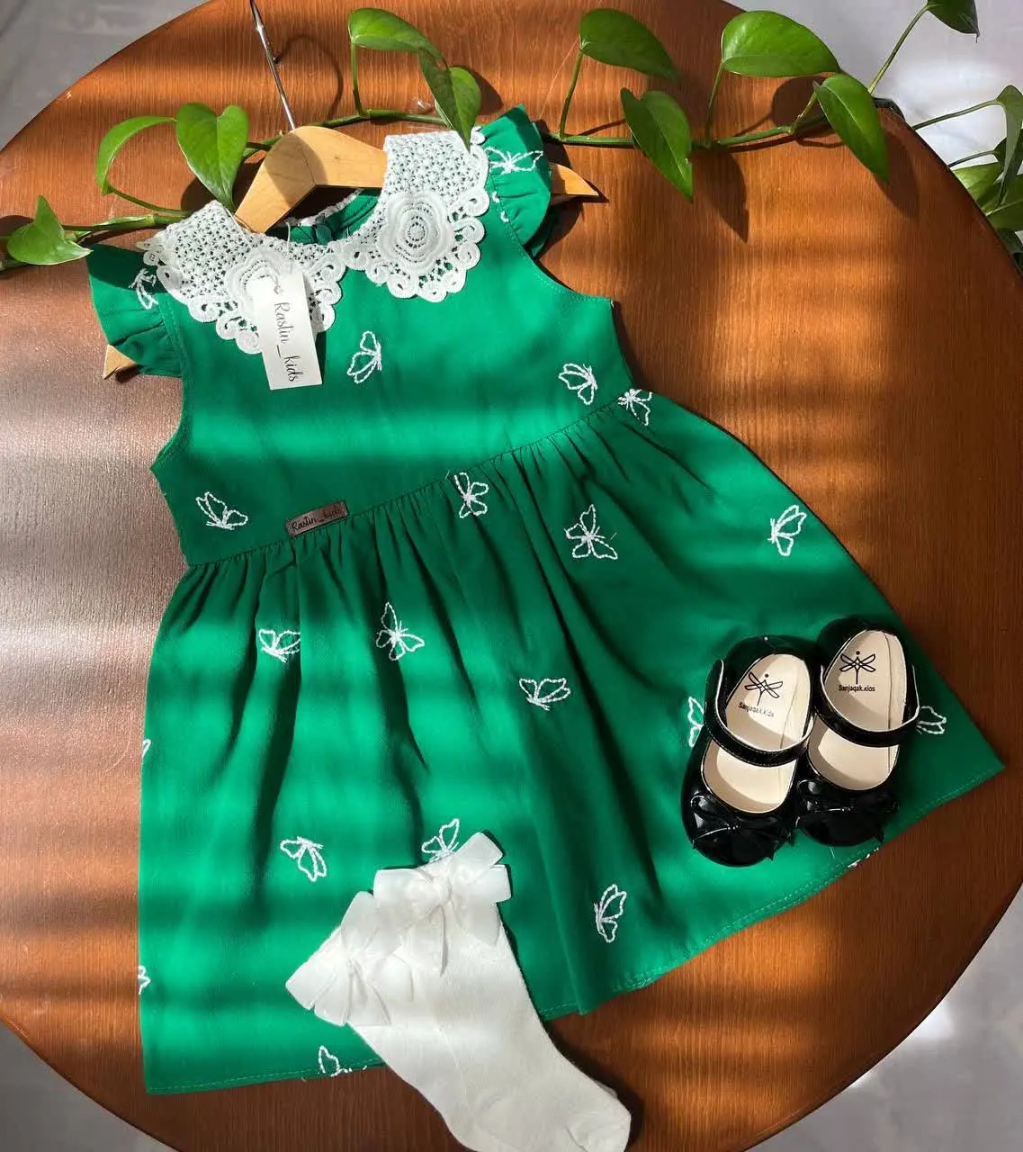 سارافون زیبای پروانه🦋🦋