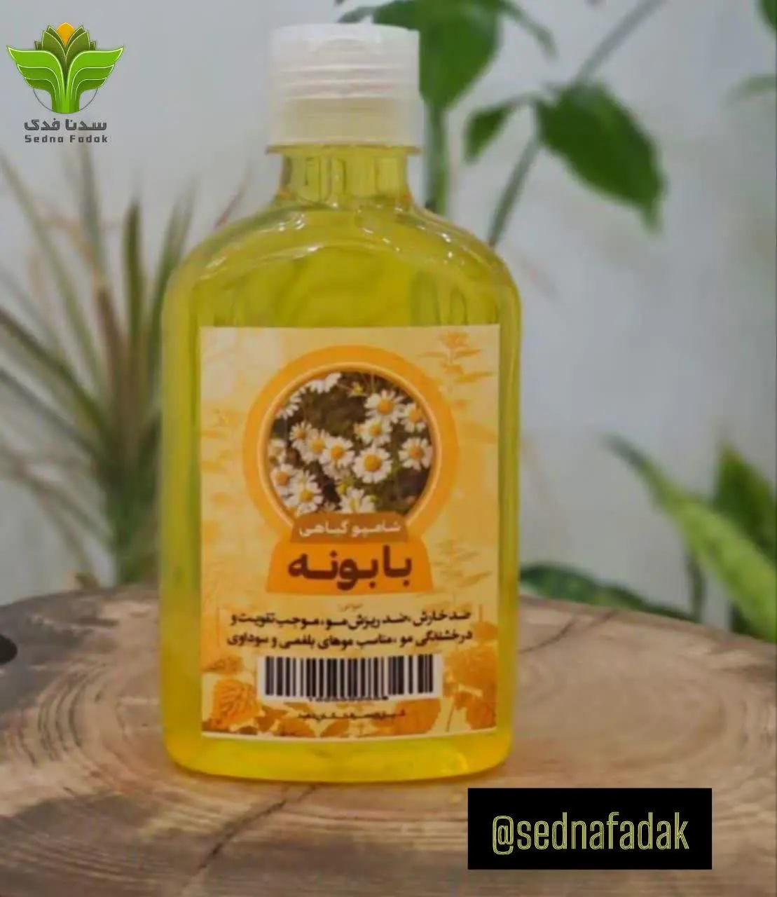 🌼شامپو بابونه طهور🌼