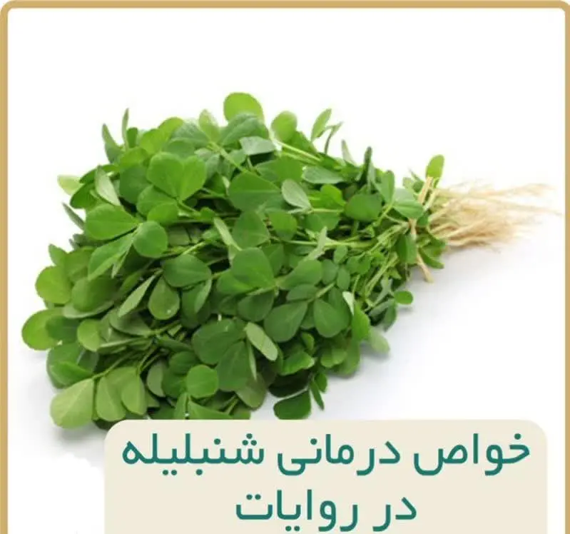 بررسی خواص درمانی شنبلیله د...