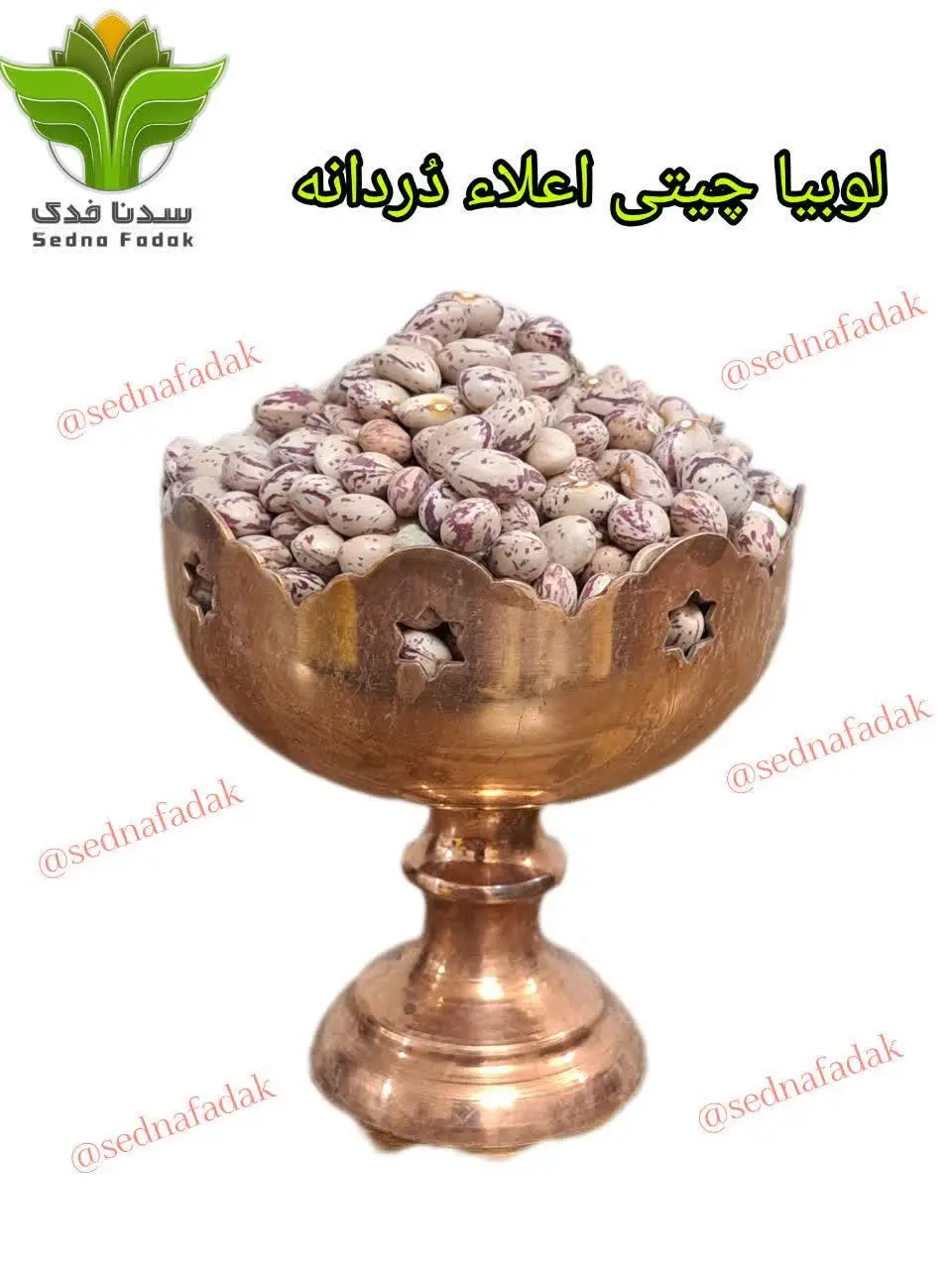 🫘 لوبیا چیتی سدنافدک 🫘