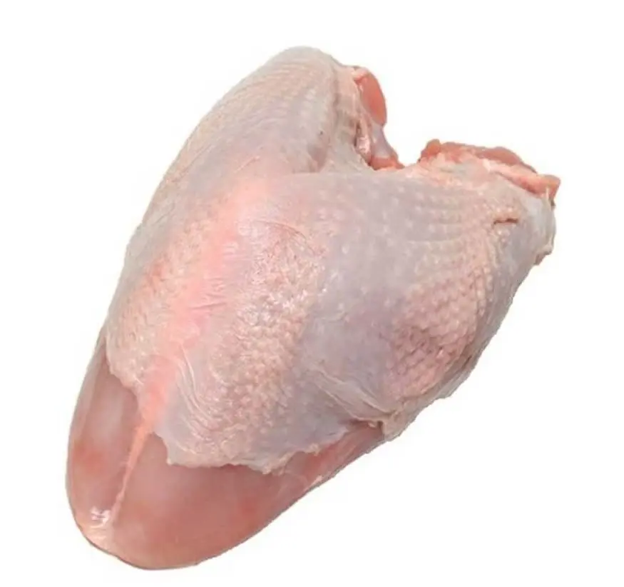 #سینه_گرم_بوقلمون