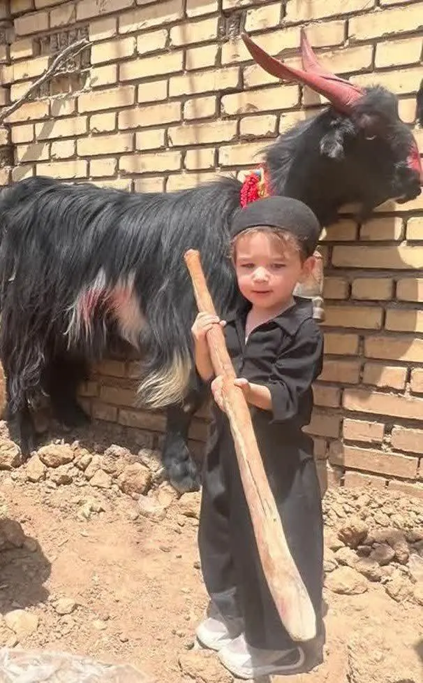 😍نام شرکت کننده: مهراد رهنما …استان اصفهان …شهرستان فلاورجان …