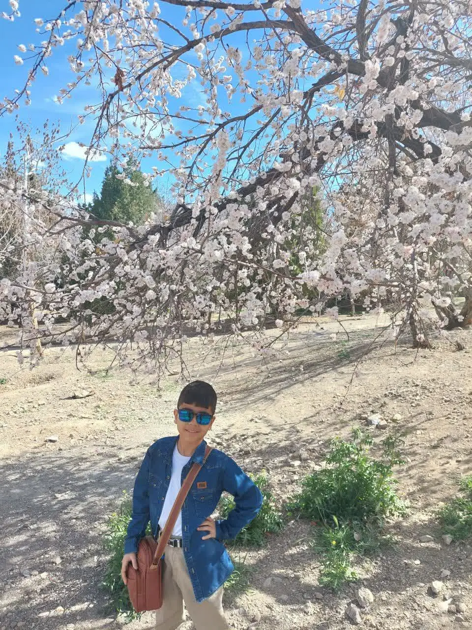 😍نام شرکت کننده: برهان یزدانی