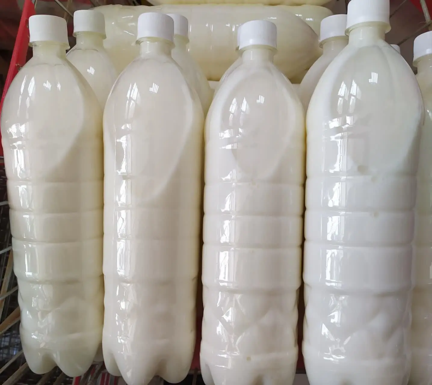 دوغ گوسفندی محلی تازه