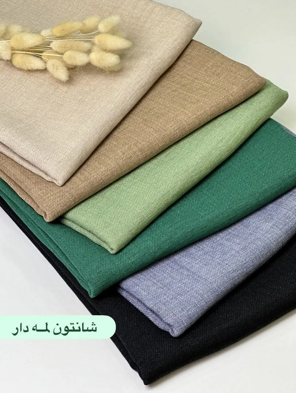 شانتون شاین دار