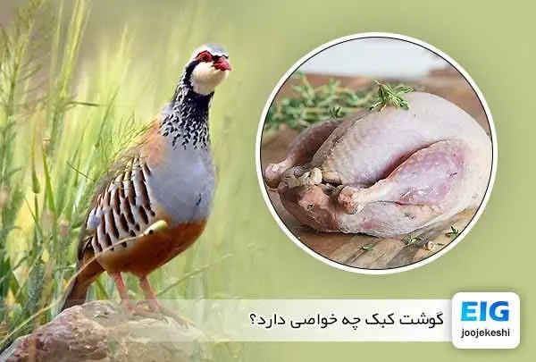 #گوشت_گرم_کبک