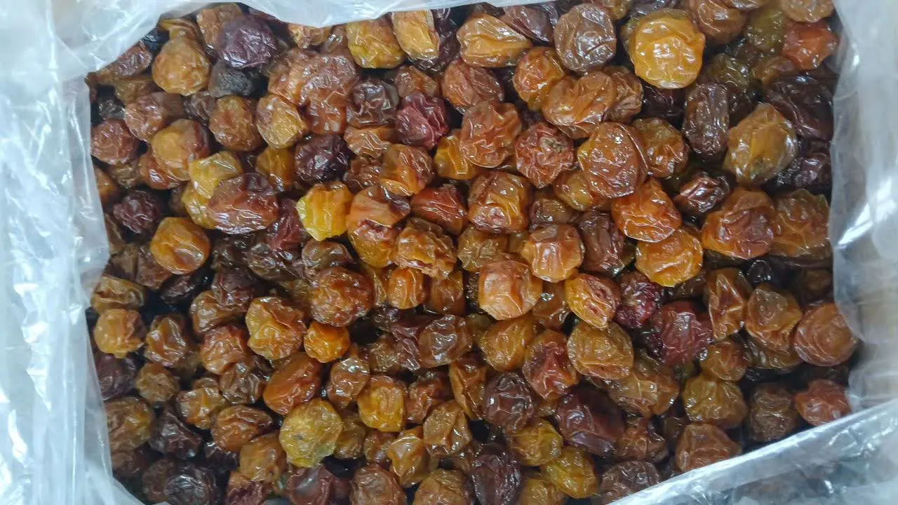 آلو زرد ملس
