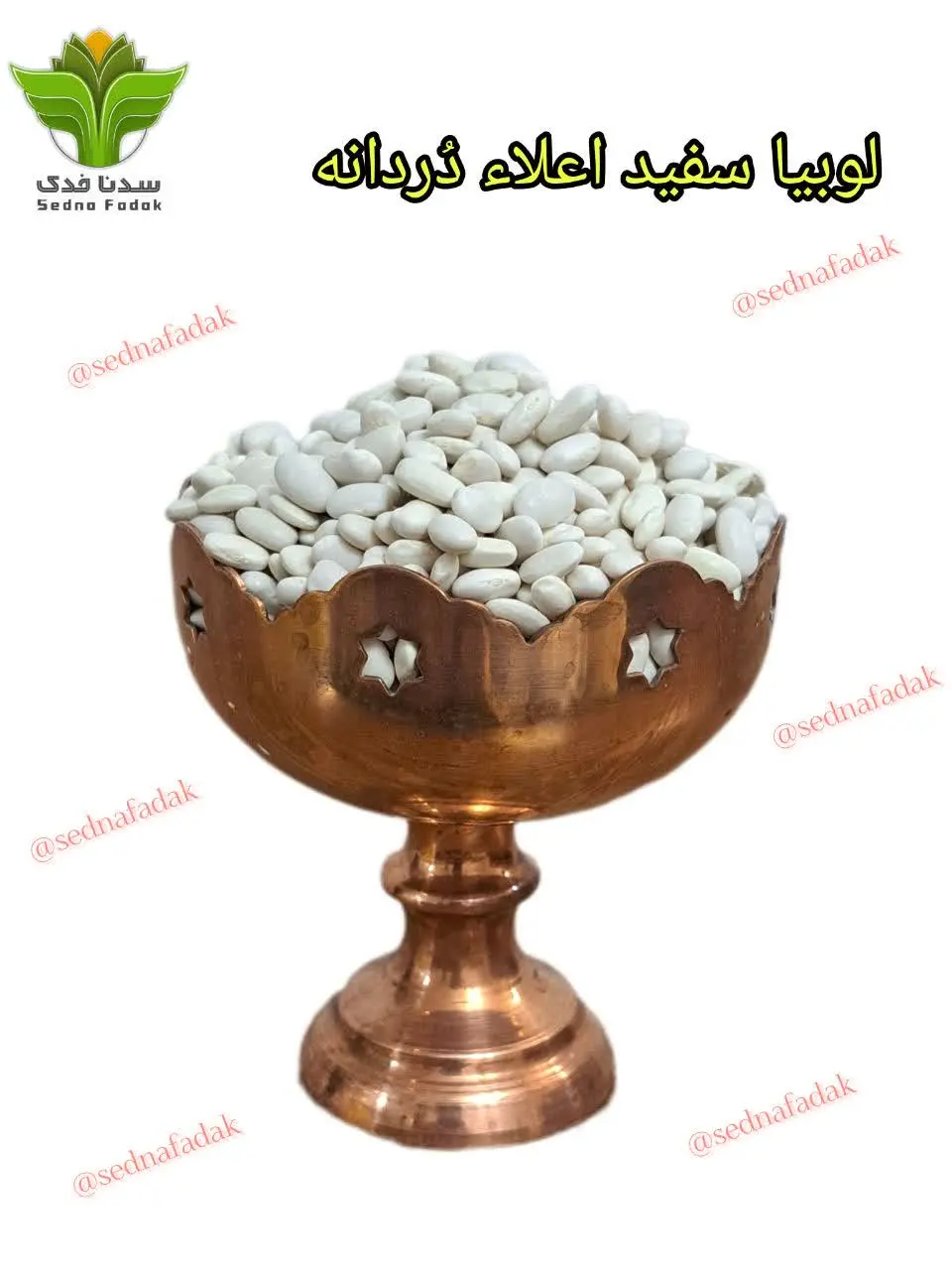 🫘لوبیا سفید🫘