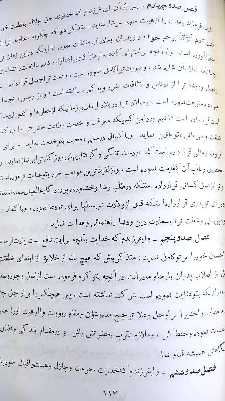 «برنامه سعادت»