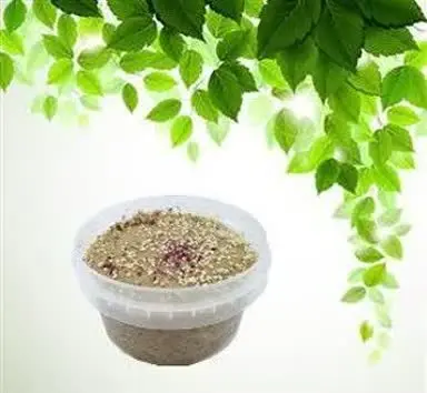 🌷حلوا معجون پشمکی