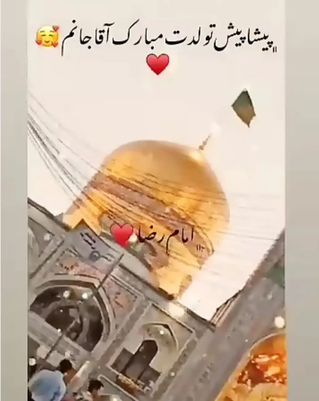همراهان همیشگی آذین❤️