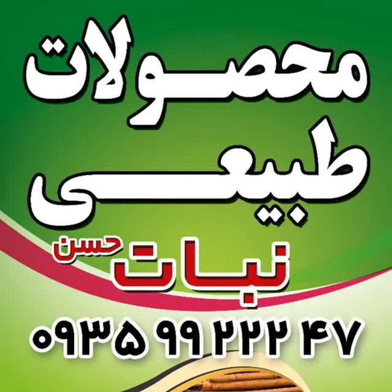 نبات حسن 🌹