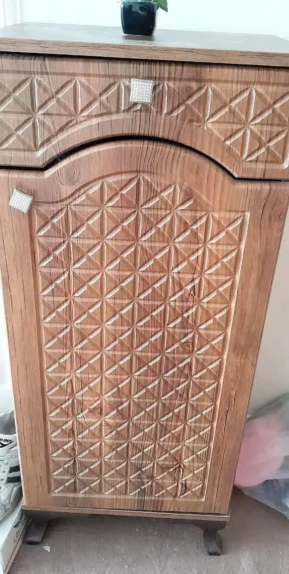 جا کفشی