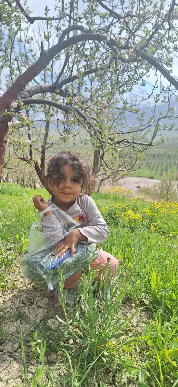 نام شرکت کننده: آتوسا موسوی
